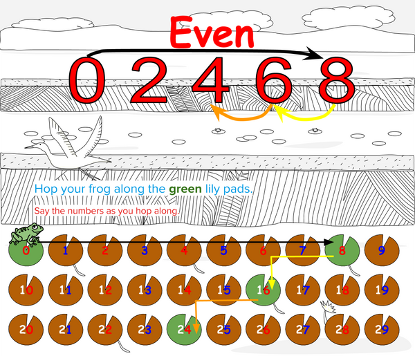 Skip Counting in Eights